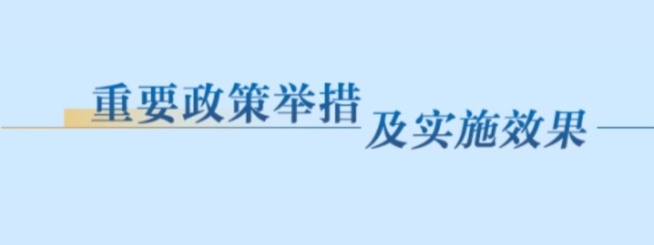 重要政策舉措及實施效果